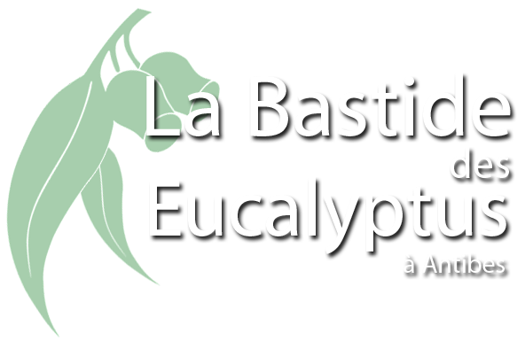 logo bastide des eucalyptus